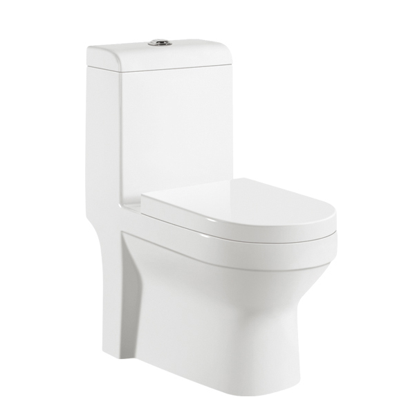 Washroom ceramic toilet WC 9005