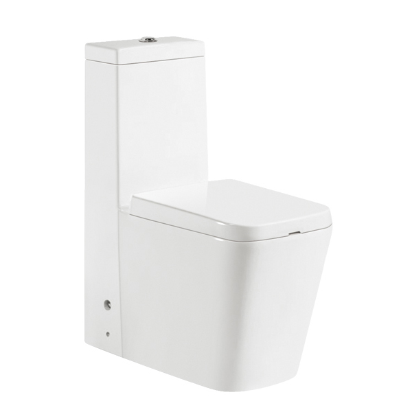 Naujas dizainas vonios kambarys WC tualetas 9030