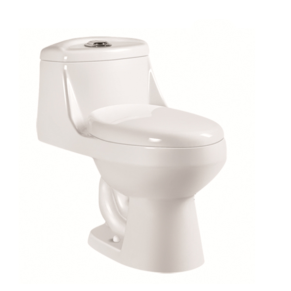 South America water saving WC toilet 9149