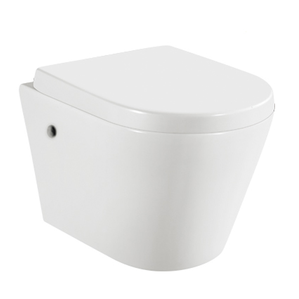 wall hung toilet with soft seat 4852