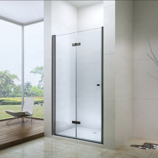 Black hinge shower door SC-56